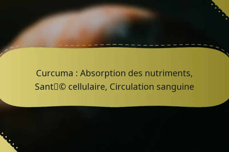 Curcuma : Absorption des nutriments, Santé cellulaire, Circulation sanguine