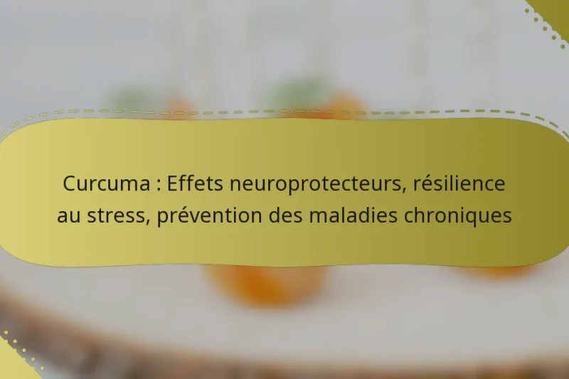 Curcuma : Effets neuroprotecteurs, résilience au stress, prévention des maladies chroniques