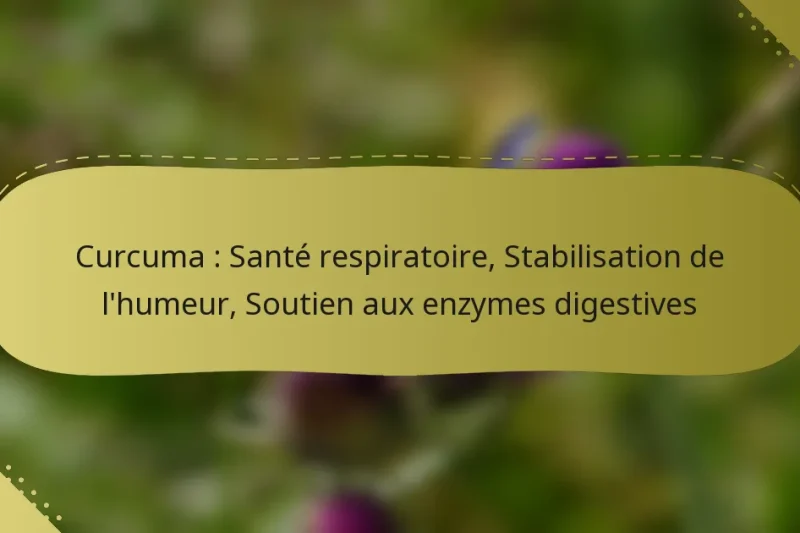 Curcuma : Santé respiratoire, Stabilisation de l’humeur, Soutien aux enzymes digestives