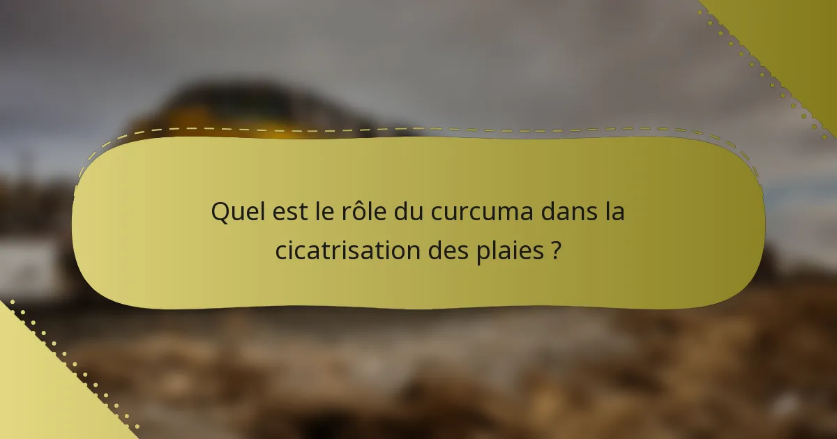 Quel est le rôle du curcuma dans la cicatrisation des plaies ?