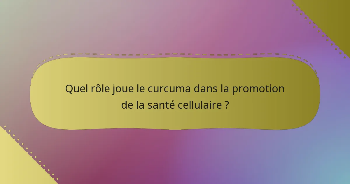 Quel rôle joue le curcuma dans la promotion de la santé cellulaire ?