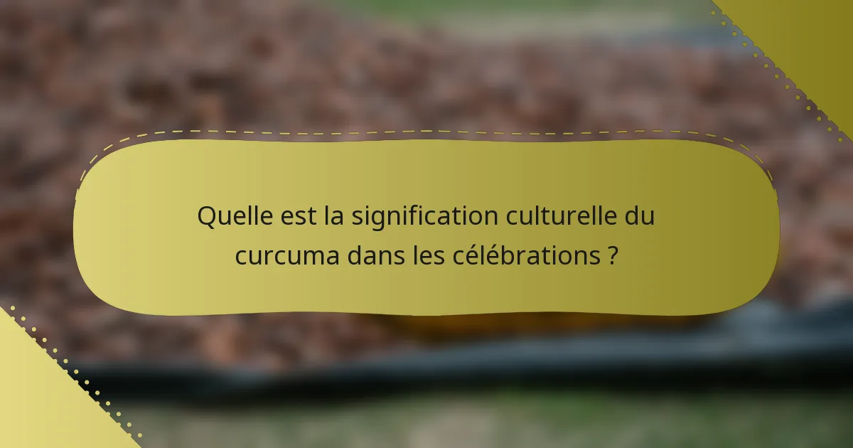 Quelle est la signification culturelle du curcuma dans les célébrations ?