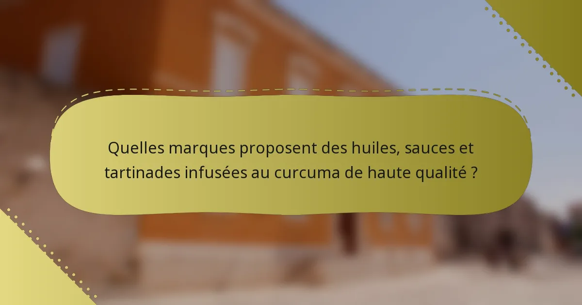 Quelles marques proposent des huiles, sauces et tartinades infusées au curcuma de haute qualité ?
