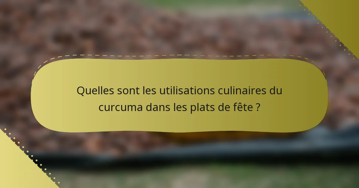 Quelles sont les utilisations culinaires du curcuma dans les plats de fête ?