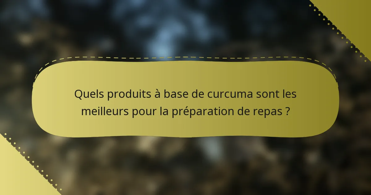 Quels produits à base de curcuma sont les meilleurs pour la préparation de repas ?