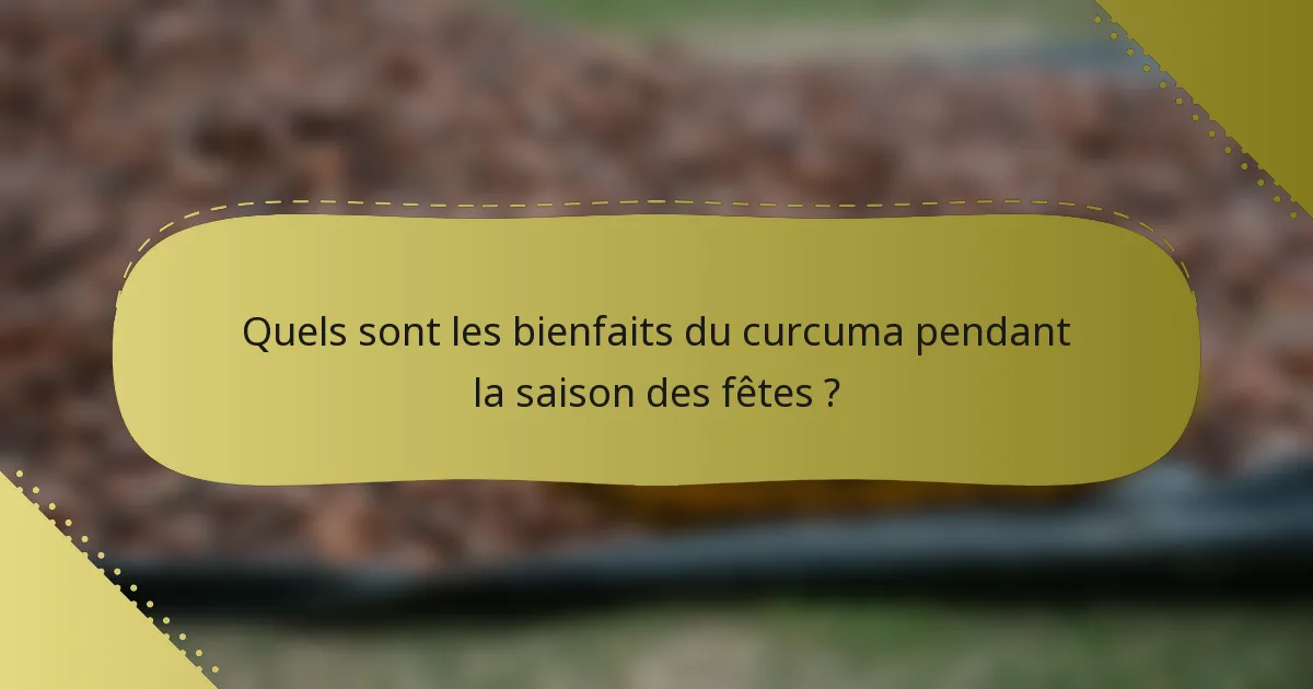 Quels sont les bienfaits du curcuma pendant la saison des fêtes ?